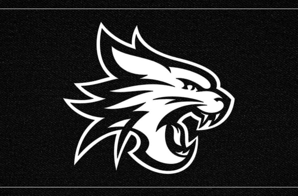 Sydney Kings vs. Perth Wildcats