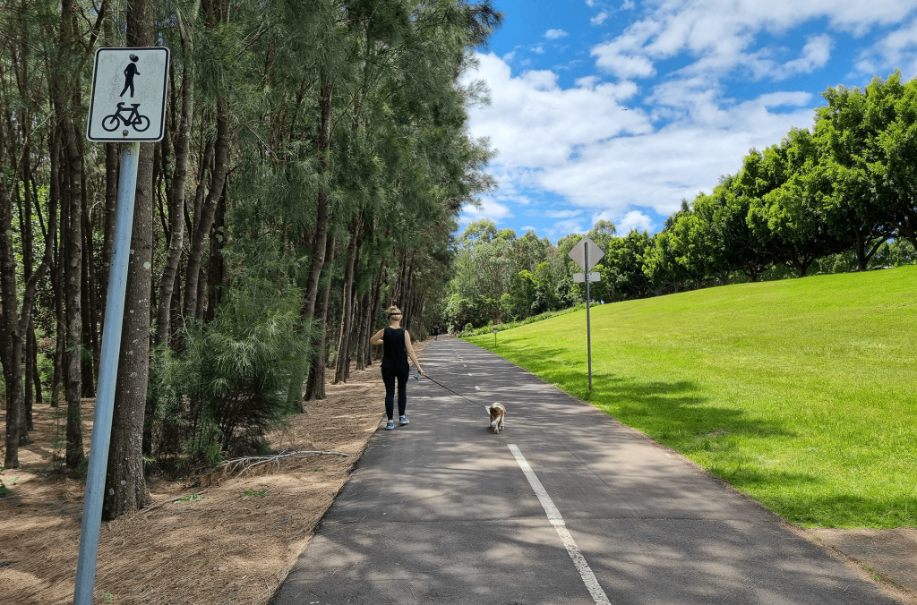Pedestrian and dog on shared path